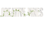 Creative Vines - Home